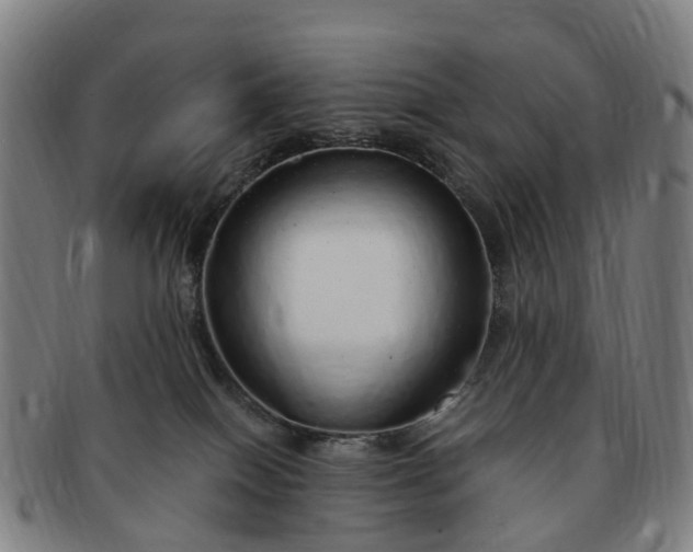 X0000091190086200708231518