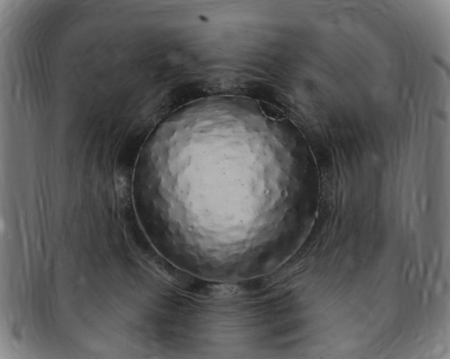 X0000091190087200708231518