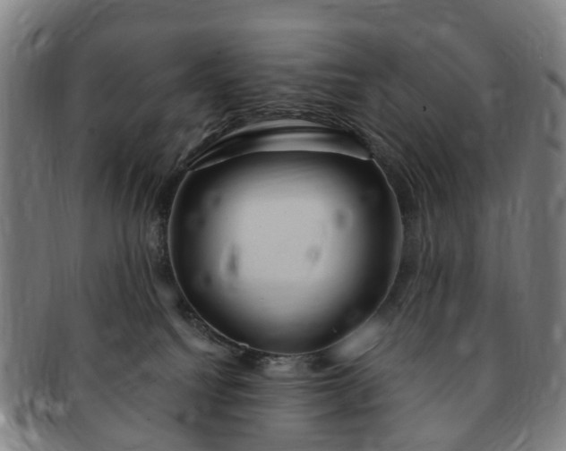 X0000091190088200708231518