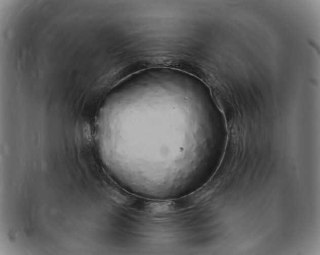 X0000091190089200708231518