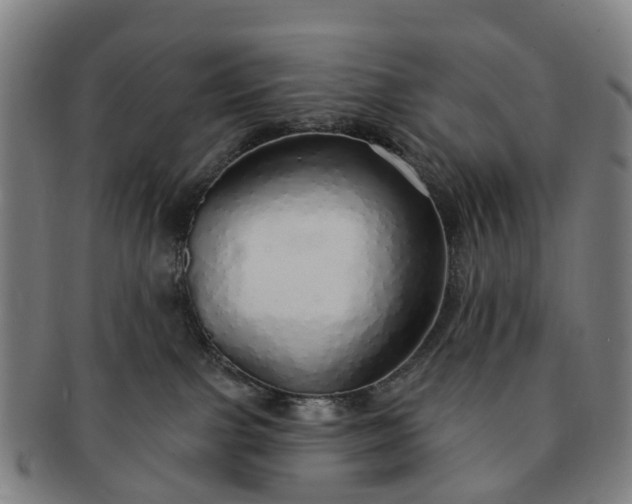 X0000091190091200708231518