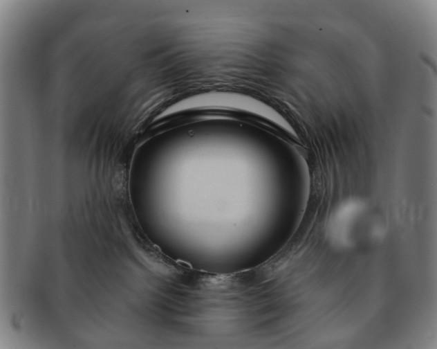 X0000091190092200708231518