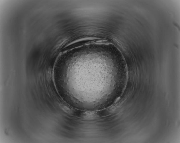 X0000091190093200708231518