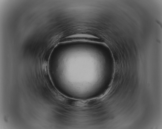 X0000091190094200708231518