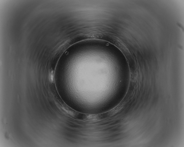 X0000091190095200708231518