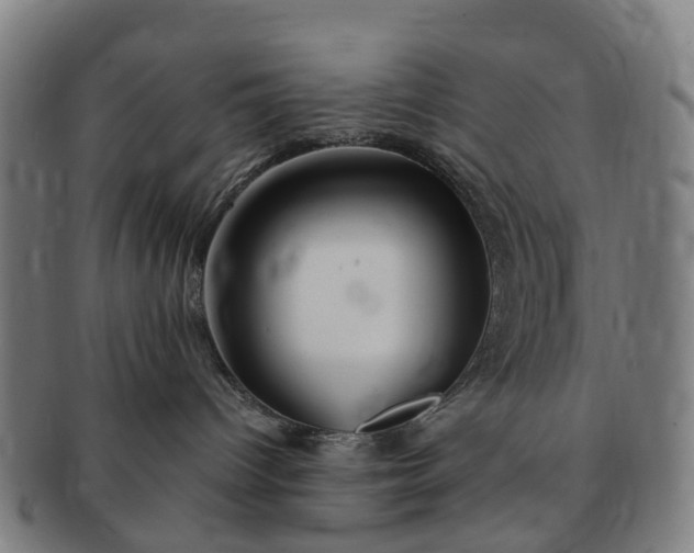 X0000091190096200708231518