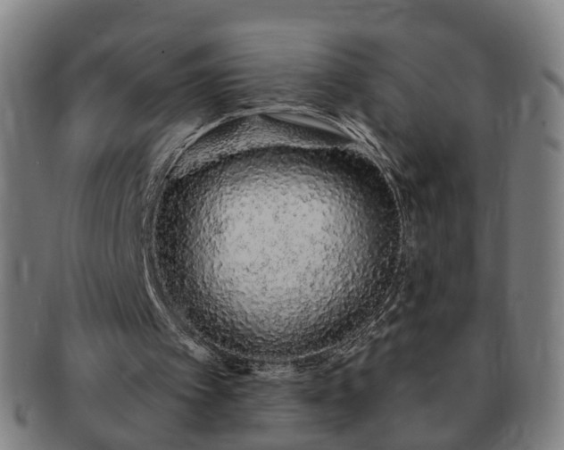 X0000091190097200708231517