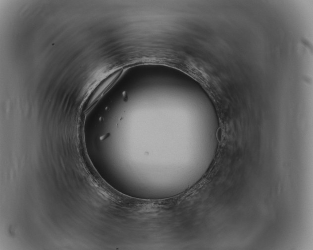 X0000091190098200708231517