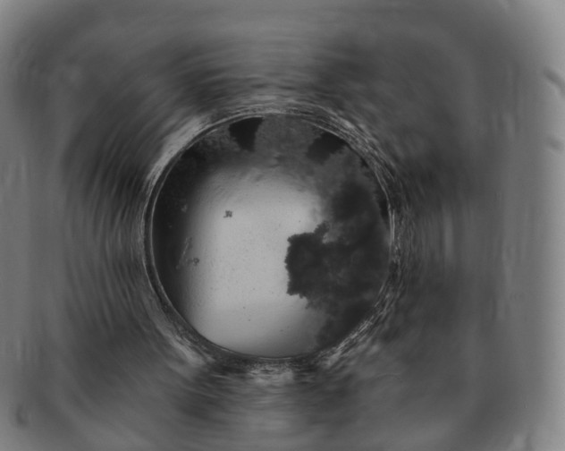 X0000091190099200708231517