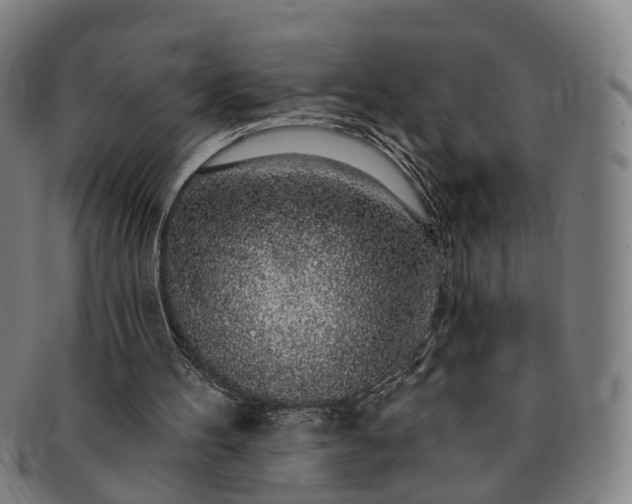 X0000091190100200708231517