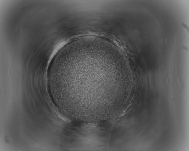 X0000091190102200708231517