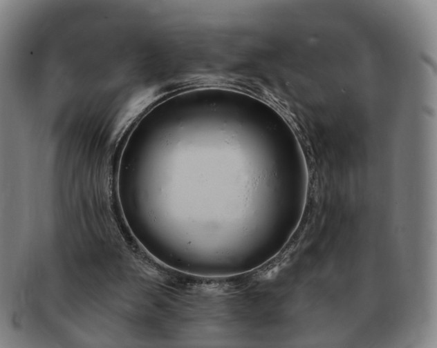 X0000091190103200708231517