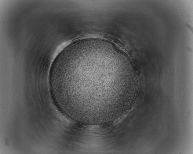 X0000091190104200708231517