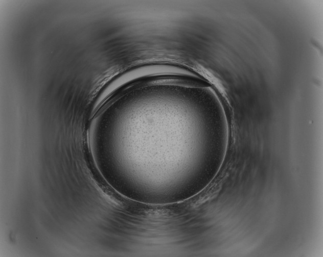 X0000091190105200708231517