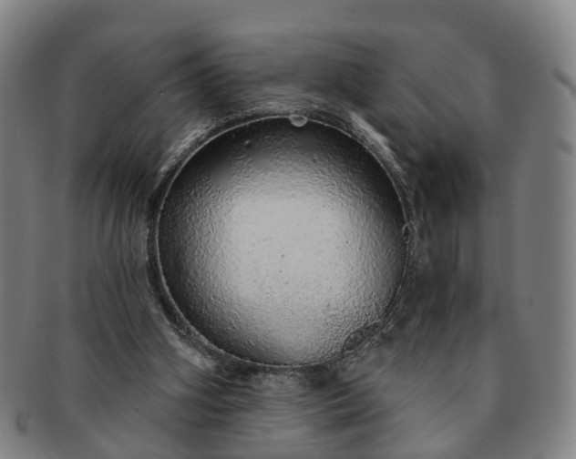 X0000091190106200708231517