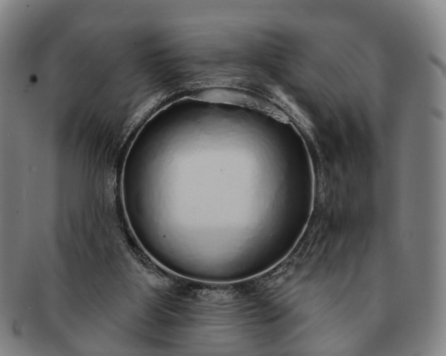 X0000091190107200708231517