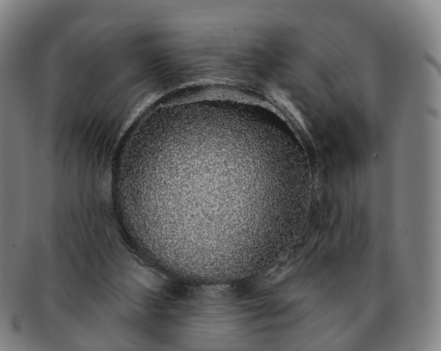 X0000091190108200708231517