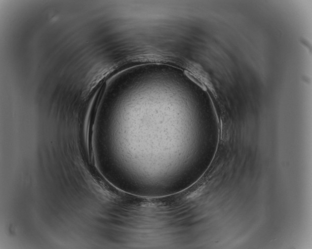 X0000091190109200708231517