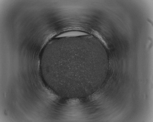 X0000091190110200708231517