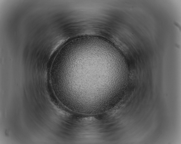 X0000091190112200708231517