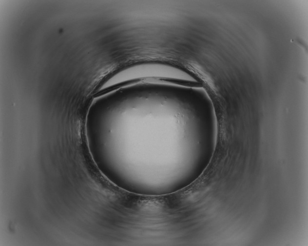 X0000091190115200708231517