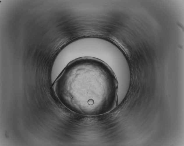 X0000091190117200708231517