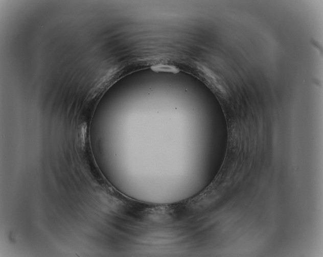 X0000091190118200708231517