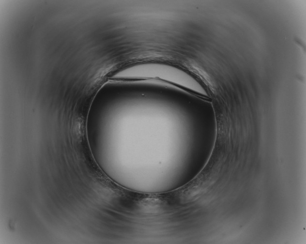 X0000091190119200708231517