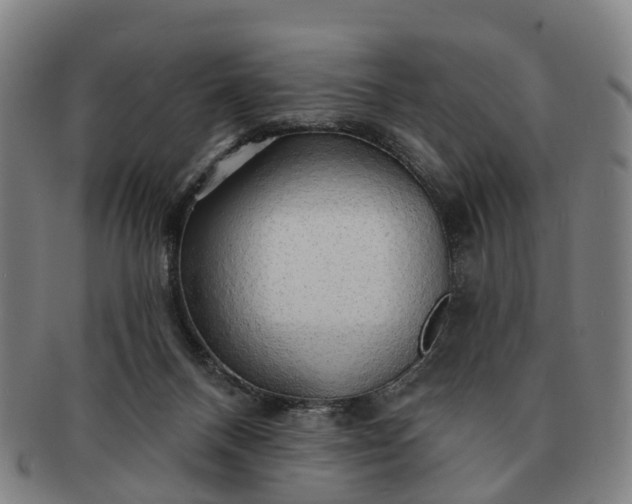 X0000091190120200708231517