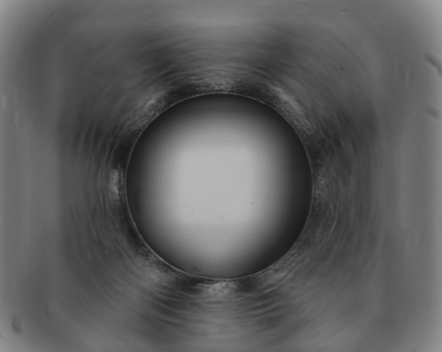 X0000091190122200708231517