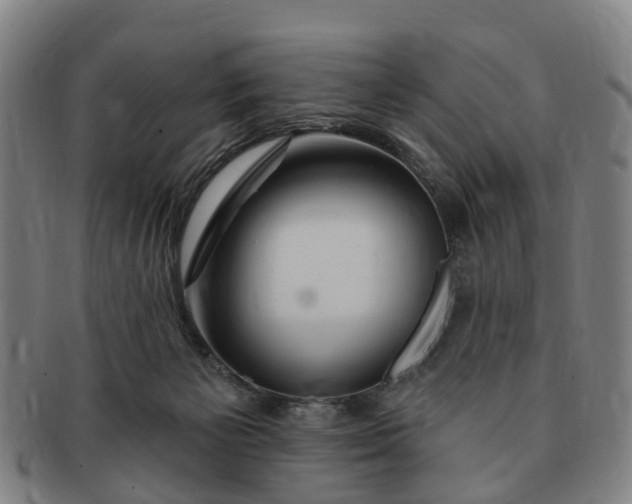 X0000091190125200708231517