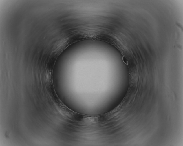 X0000091190126200708231517