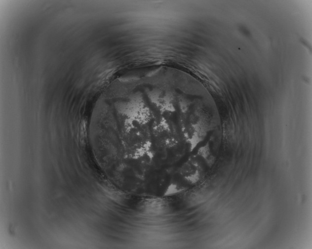 X0000091190127200708231517