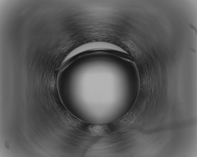 X0000091190129200708231517