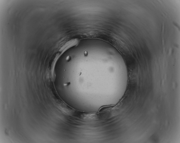 X0000091190132200708231517