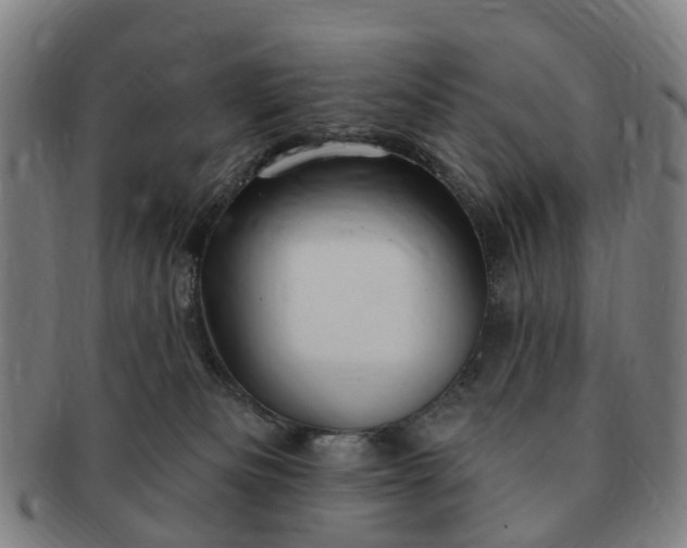 X0000091190133200708231517