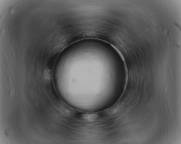 X0000091190135200708231517