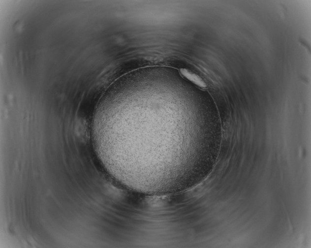 X0000091190136200708231517