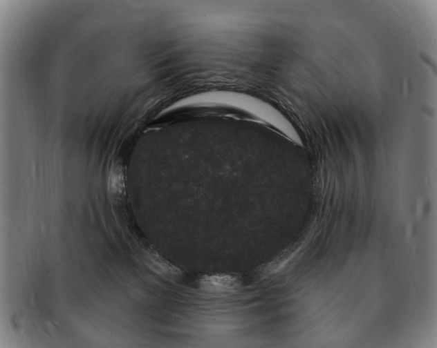 X0000091190137200708231517