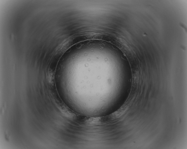 X0000091190138200708231517