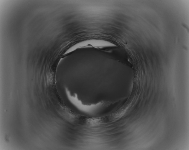 X0000091190139200708231517