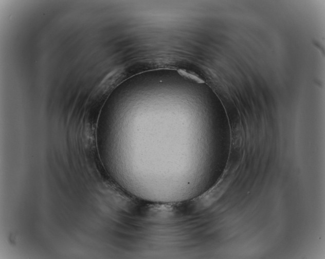 X0000091190140200708231517