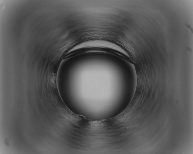 X0000091190141200708231517