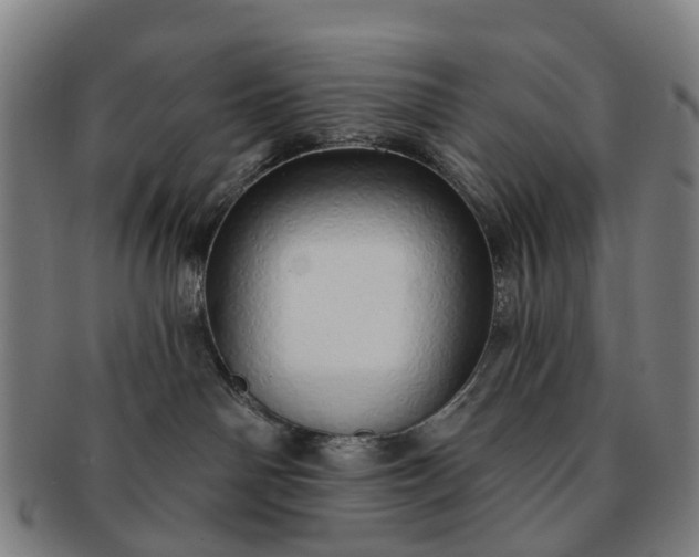 X0000091190142200708231516