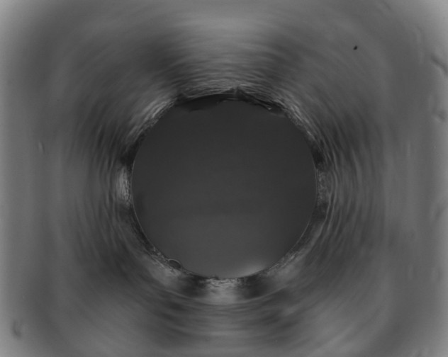 X0000091190143200708231516