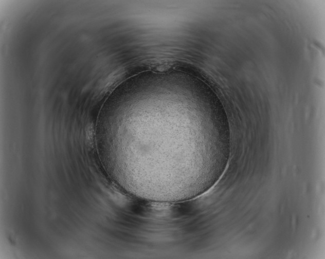 X0000091190144200708231516