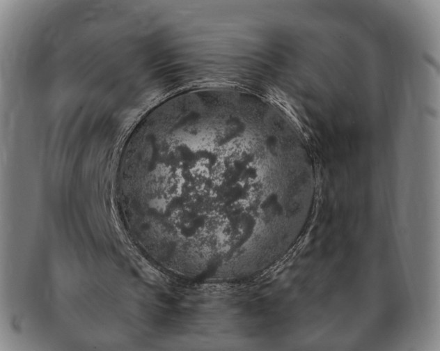 X0000091190145200708231516