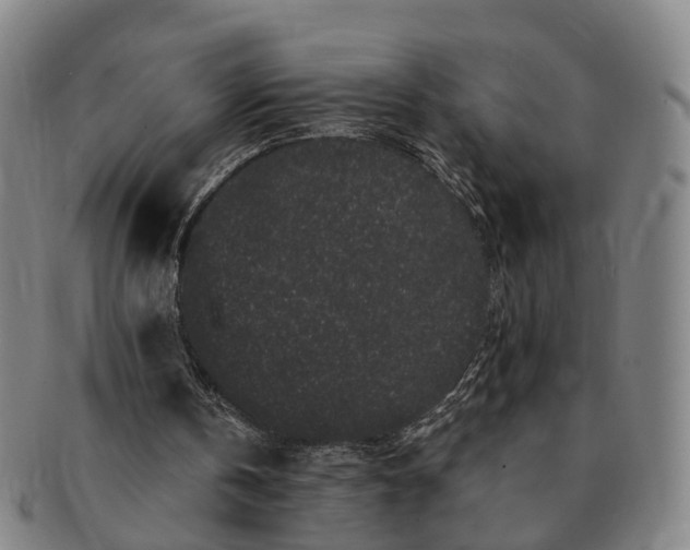 X0000091190146200708231516