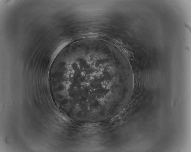 X0000091190147200708231516