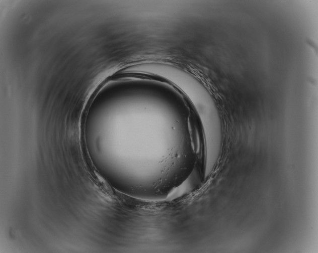 X0000091190148200708231516